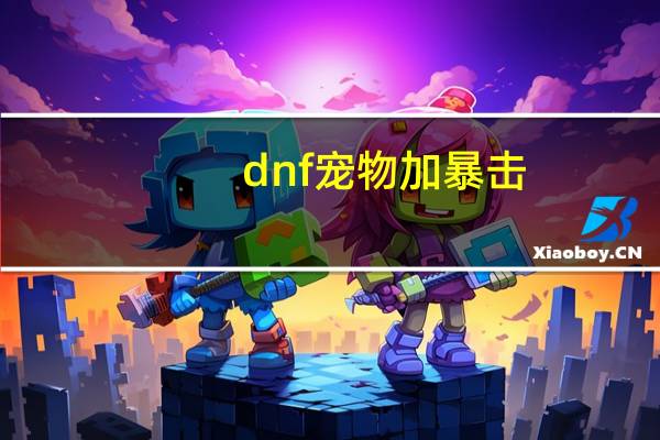dnf宠物加暴击