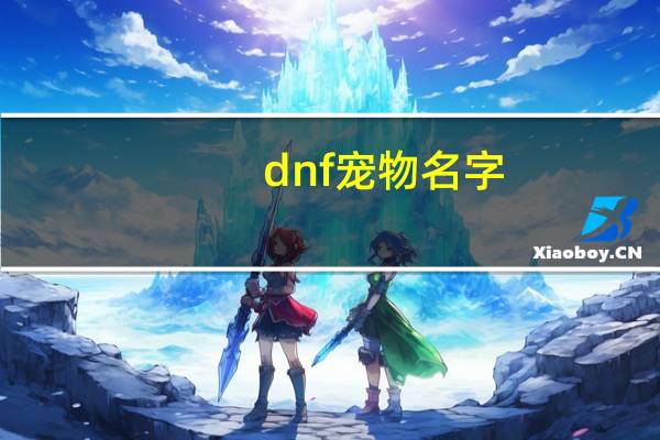 dnf宠物名字