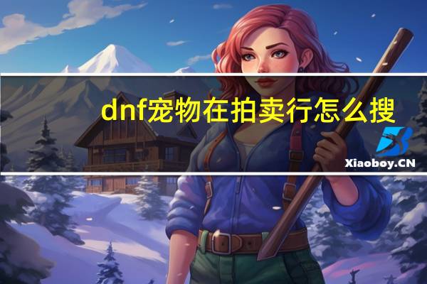 dnf宠物在拍卖行怎么搜