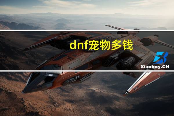 dnf宠物多钱