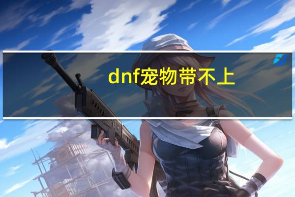 dnf宠物带不上