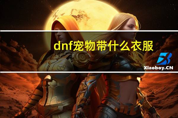 dnf宠物带什么衣服