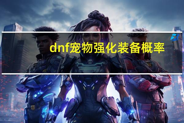 dnf宠物强化装备概率