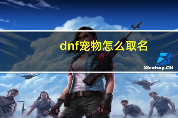dnf宠物怎么取名