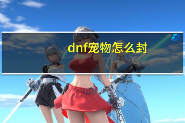 dnf宠物怎么封