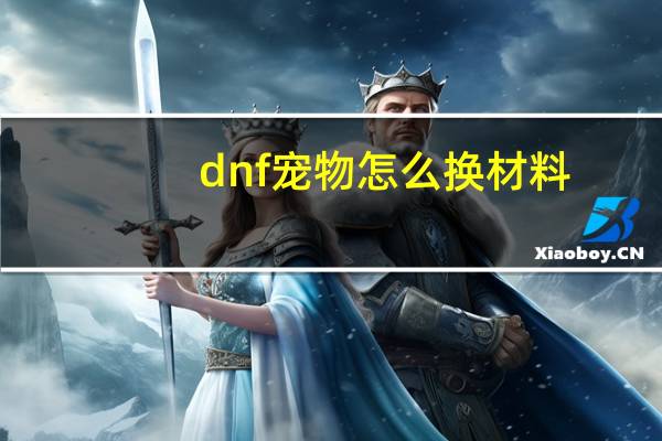 dnf宠物怎么换材料