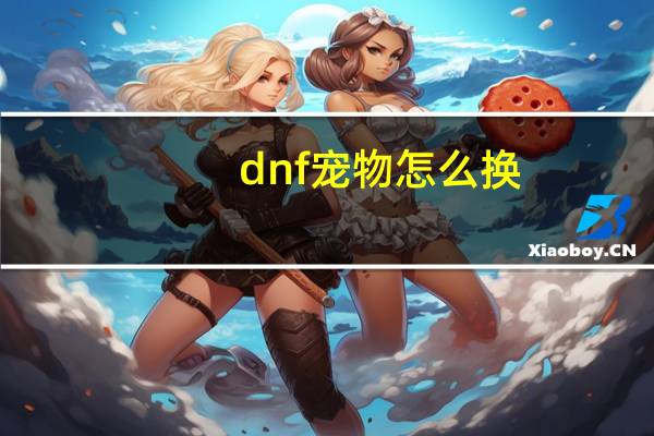dnf宠物怎么换