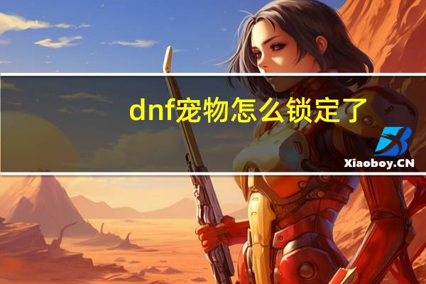 dnf宠物怎么锁定了