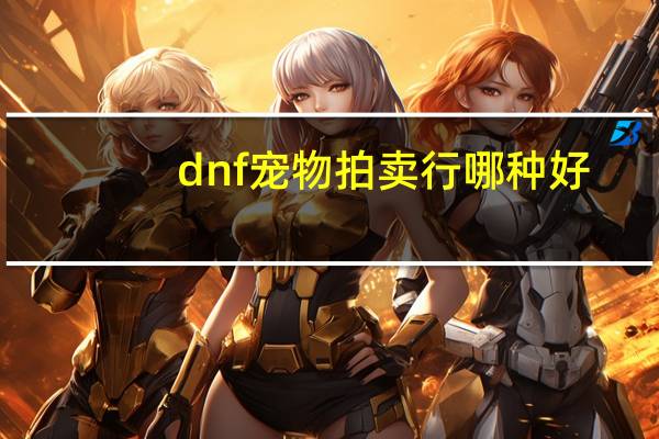 dnf宠物拍卖行哪种好