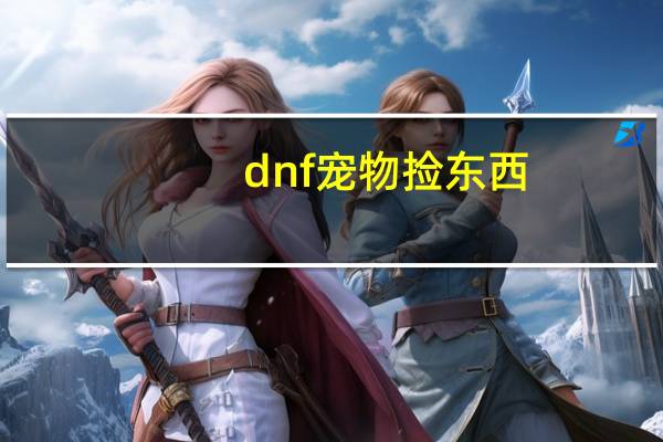 dnf宠物捡东西