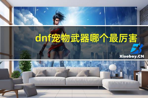 dnf宠物武器哪个最厉害