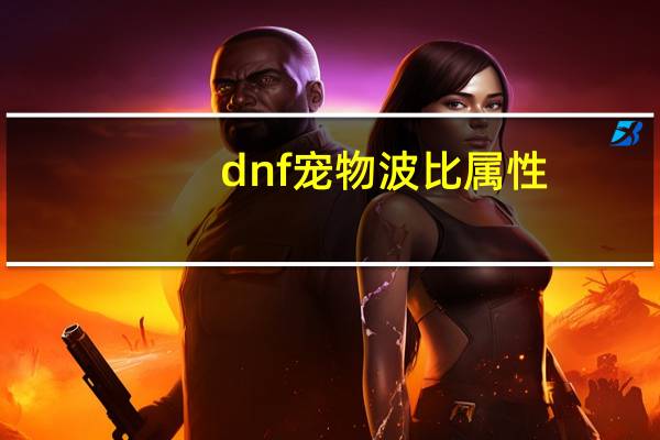 dnf宠物波比属性