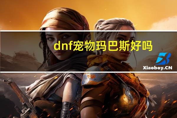 dnf宠物玛巴斯好吗