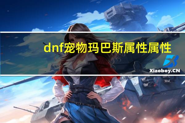 dnf宠物玛巴斯属性属性