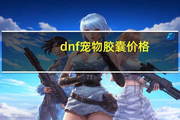 dnf宠物胶囊价格
