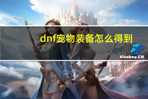 dnf宠物装备怎么得到