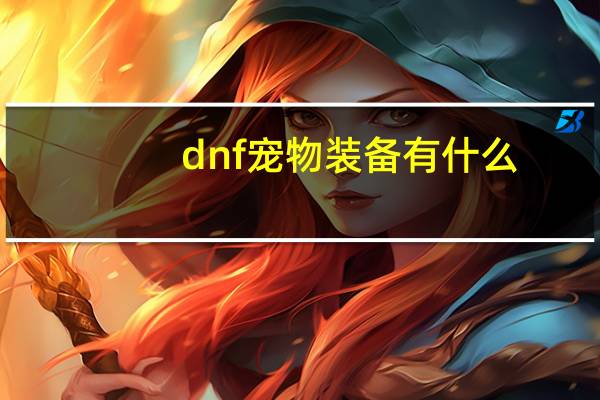 dnf宠物装备有什么