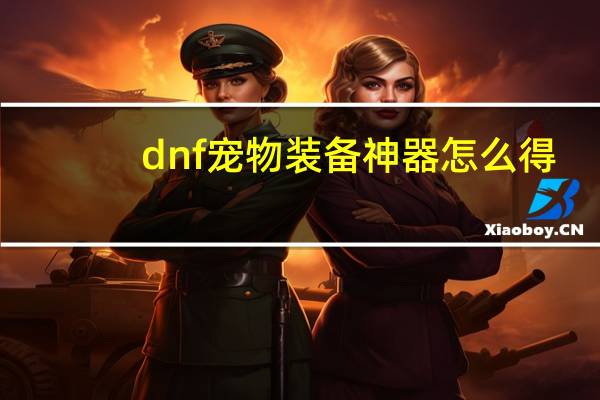 dnf宠物装备神器怎么得