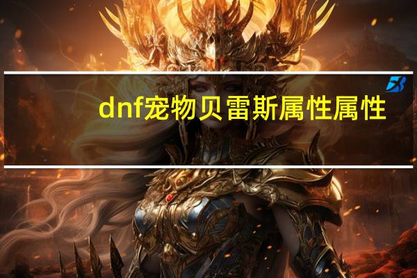 dnf宠物贝雷斯属性属性