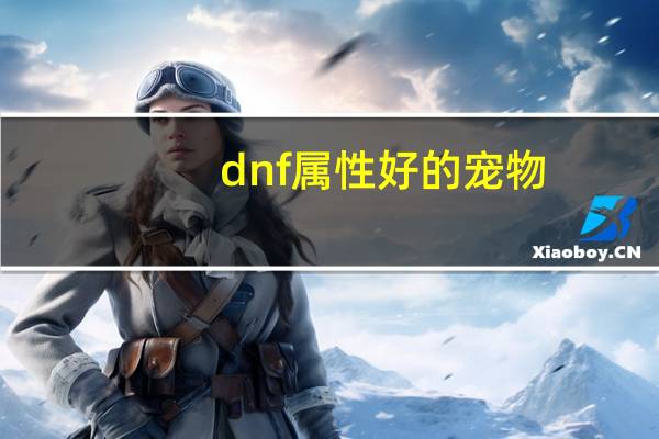 dnf属性好的宠物