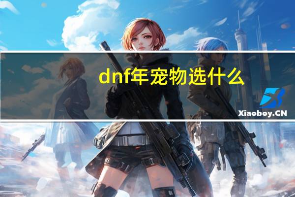 dnf年宠物选什么