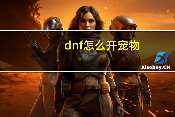 dnf怎么开宠物