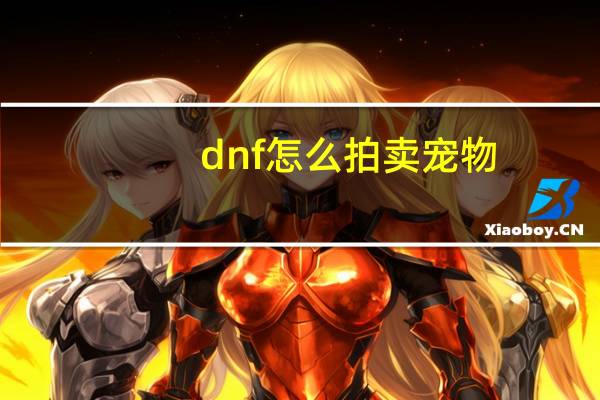 dnf怎么拍卖宠物