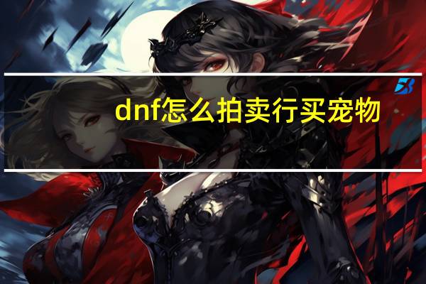 dnf怎么拍卖行买宠物