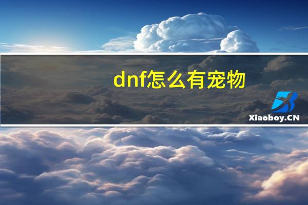 dnf怎么有宠物