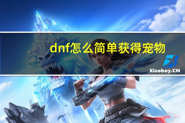 dnf怎么简单获得宠物