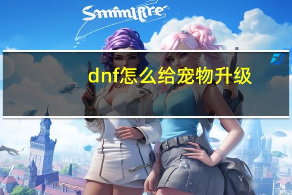 dnf怎么给宠物升级