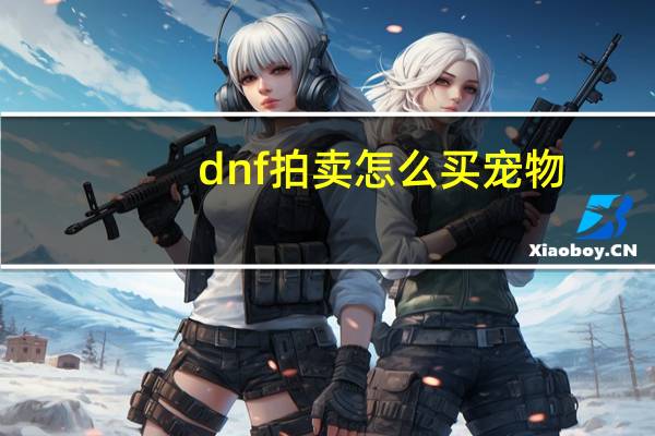 dnf拍卖怎么买宠物