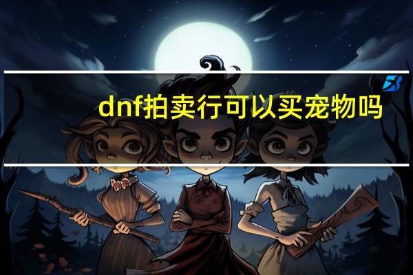 dnf拍卖行可以买宠物吗
