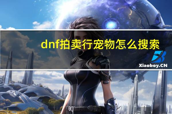 dnf拍卖行宠物怎么搜索