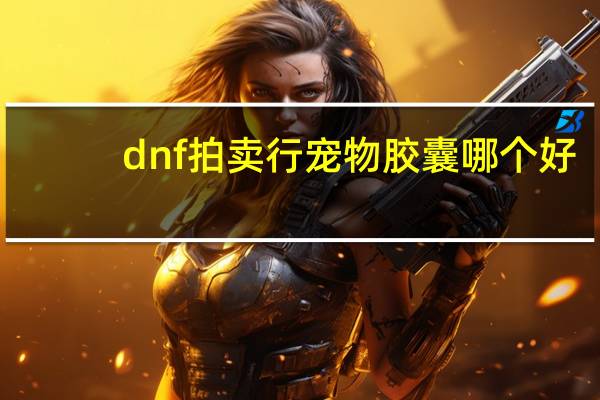 dnf拍卖行宠物胶囊哪个好