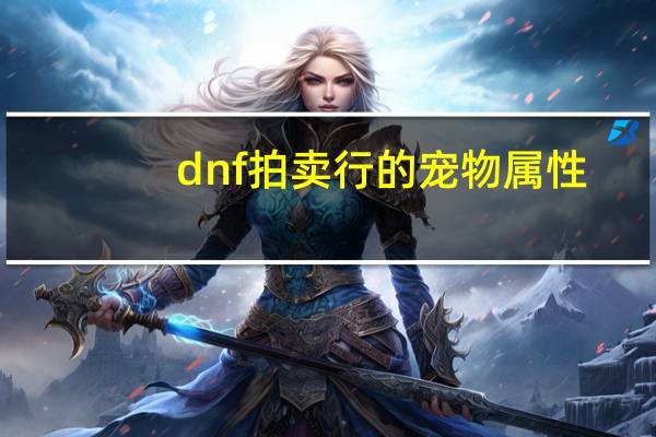 dnf拍卖行的宠物属性