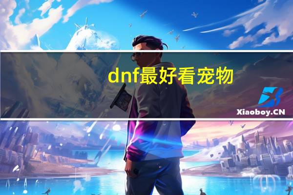 dnf最好看宠物