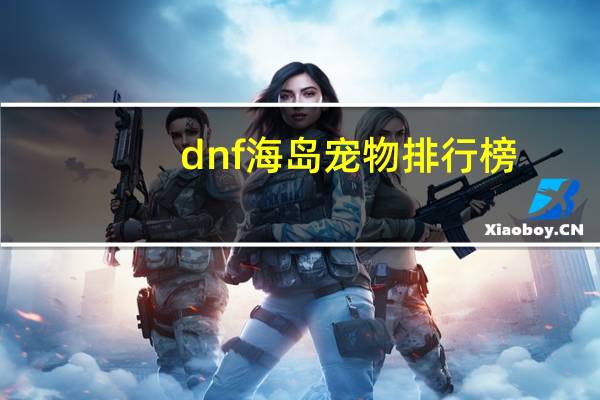 dnf海岛宠物排行榜