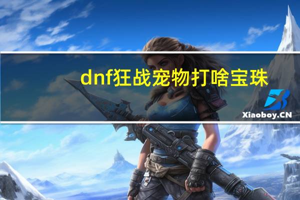 dnf狂战宠物打啥宝珠