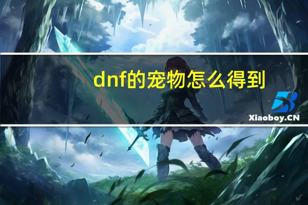 dnf的宠物怎么得到