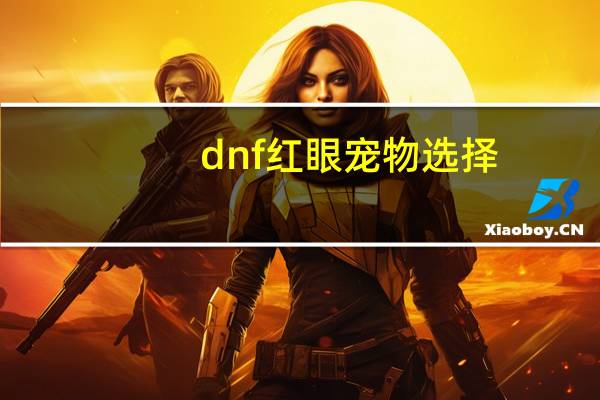 dnf红眼宠物选择