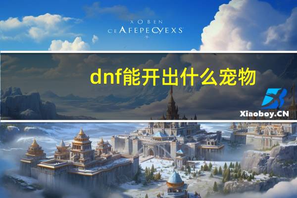 dnf能开出什么宠物