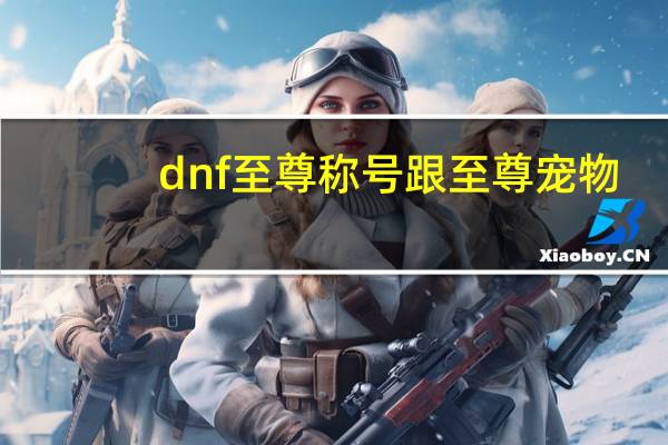 dnf至尊称号跟至尊宠物
