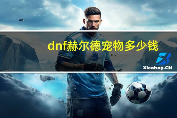 dnf赫尔德宠物多少钱