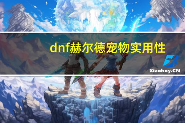 dnf赫尔德宠物实用性