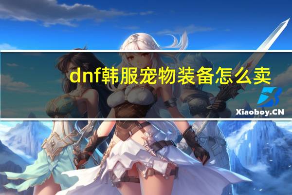 dnf韩服宠物装备怎么卖