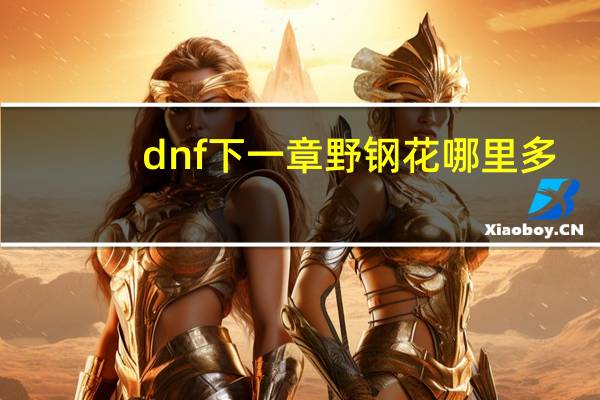 dnf下一章 野钢花哪里多