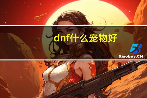 dnf什么宠物好