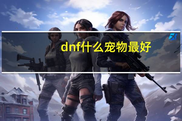 dnf什么宠物最好