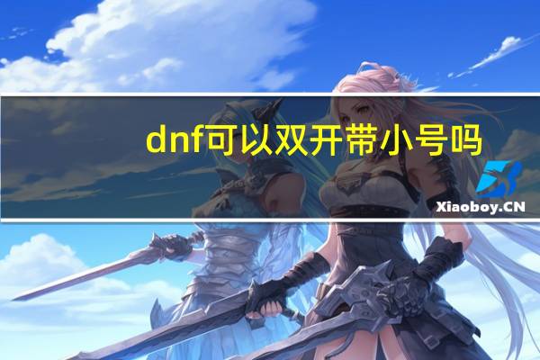 dnf可以双开带小号吗（dnf怎么双开带小号）